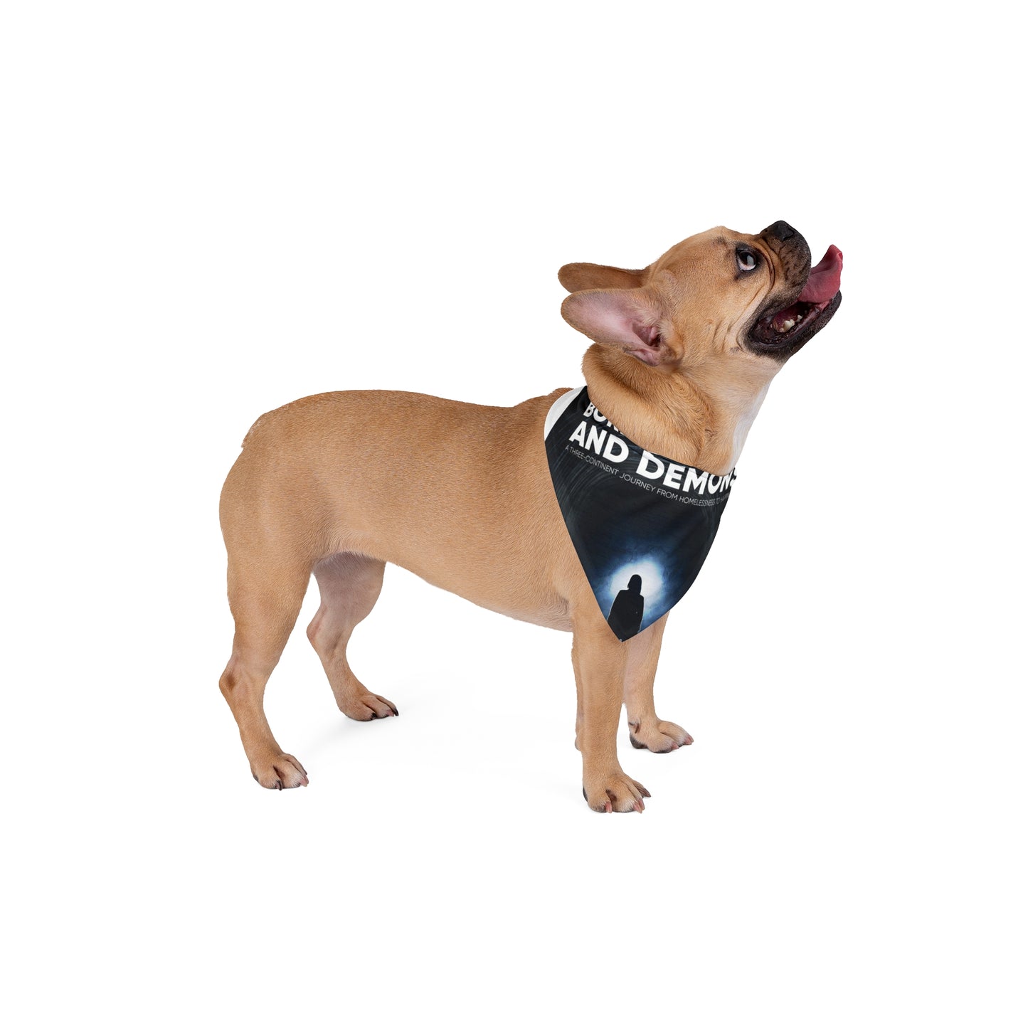 Pet Bandana